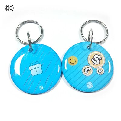Aangepaste 13,56MHz programmeerbare NTAG213 Smart Epoxy Keyfob Tags RFID Tag NFC Sleutelhanger